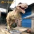 Import My Dino Life Size Dinosaur Statues Tyrannosaurus Rex from China