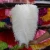 Import natural factory wholesale Decorative large Ostrich feather Plume for Carnival Halloween Party Wedding from China