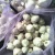 Import nevo fresco rojo Ajo, fresh garlic from China