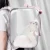 Import New pet luxury bag transparent pet clear bag pet carrier cat dog carrier hand bag from China