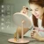 Import New style Mitifuntion LED Cosmetic Mirror Table Lamp Makeup Portable For Girls modern table lamps from China