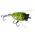 Import Newbility lure factory 50mm 6g hard plastic insect cicada fishing lure from China