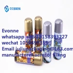 OEM Christmas Decoration Gold Silver Metallic Spray Paint