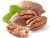 Import Organic Pecans (Raw, No Shell) For sale from South Africa