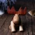 Import Original design nordic style Christmas gift solid wood animal wooden figurine lovely deer desk ornament , Wooden Arts from China
