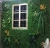 Import Outdoor decoration grass wall home decoration artificial plant wall from China