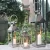 Import Outdoor popular hurricane and garden decoration stainless steel candle lantern from China