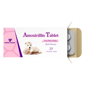 Pet antibiotics medicines, Amoxicillin Tablet treat for pet various infections