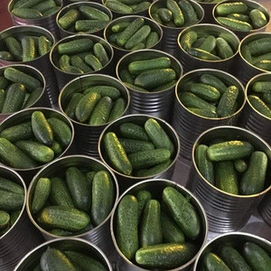 Pickled cucumber 6-9 cm spring seasoncan A10