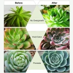 Plant Grow Light Bulb Full Spectrum Led Light Bulbs grow light bulb