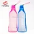 Import plastic folding pet travel drinker for wholesale from China