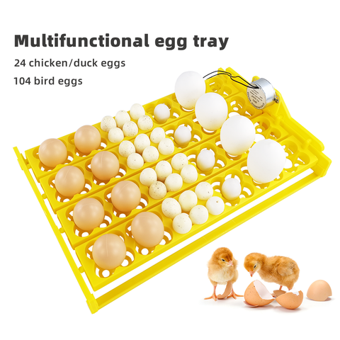 Buy Plastic Poultry Incubator Egg Tray With Synchronous Motor Egg ...