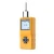 Import Portable Hydrogen Sulfide H2S Gas Detector from China
