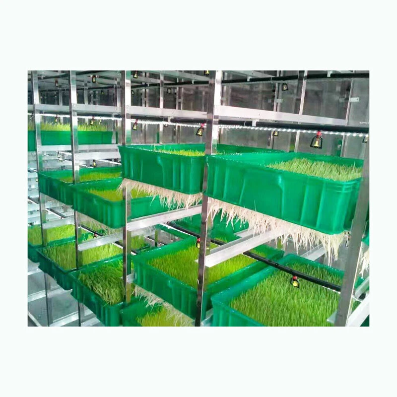 Poultry Farm Use Automatic Seed Germination Chamber | Hydroponic Fodder System For Barley Wheat | Oat | Maize