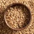 Import Premium Barley Exporter from United Arab Emirates