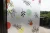 Import Privacy Protective PVC Glass Decorative Film For Home from China
