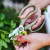 Import Professional Garden Plant Scissors Pruning Soft Grip Household Shears from China
