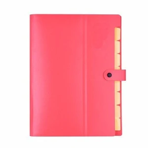 Promotional Custom Logo A4 size Clear Red Blue Plastic Expandable file folders with elastic closure