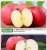 Proper Price Top Quality Wholesale High Quality Fruit Fresh Apple