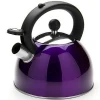 purple kitchen appliances kettle stainless steel whistling tea kettle