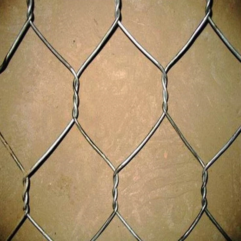 PVC Coated Hexagonal Gabion Wire Mesh Chicken Wire Fencing