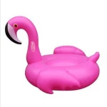 PVC Eco-friendly Big Swimming Ring Inflatable Water Swim Ring For Adult Children