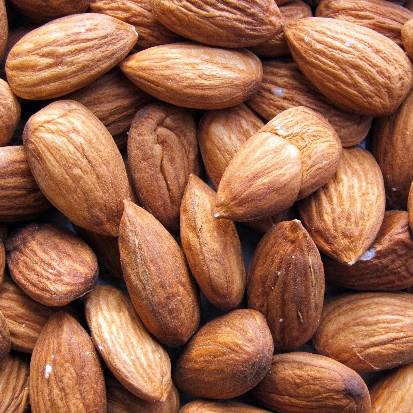 Raw sweet almond without shell handpicked