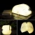 Import rechargeable usb book lamp best gift fashion indoor decor decoration home desk led book light from China