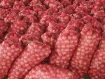 Red Onions/Indian Onions/Fresh Onions!