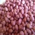 Import Red Skin Peanuts / Blanched Peanut Kernels / Roasted and Salted Redskin Peanuts for sell from United Kingdom