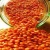 Import RED SPLIT LENTILS from India