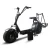 Import Removable Battery Citycoco 2 Wheels Motorcycle Golf Electric Scooter from China