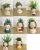 Import Resin Cute Girls Mini Planter Ornament Succulent Pots For Plants from China