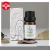 Import Sale rose essential oil  perfumes water-soluble plant aromatherapy motor oil household indoor air freshener from China