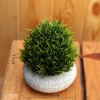 Sea Urchin Artificial Environmental Protection Plastic Cement Flower Pot Green Home Decoration Flower Pot