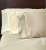 Import Seamless 100% Pure Mulberry Silk Pillow case from China