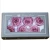 Import Shenzhen blossomingflora factory price preserved ecuador roses wholesale preserved flower from China