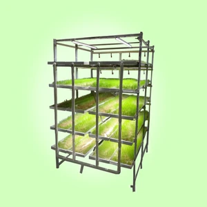 Smart greenhouse High production commercial hydroponic rack  Forage Seeds breeding plant nursery system