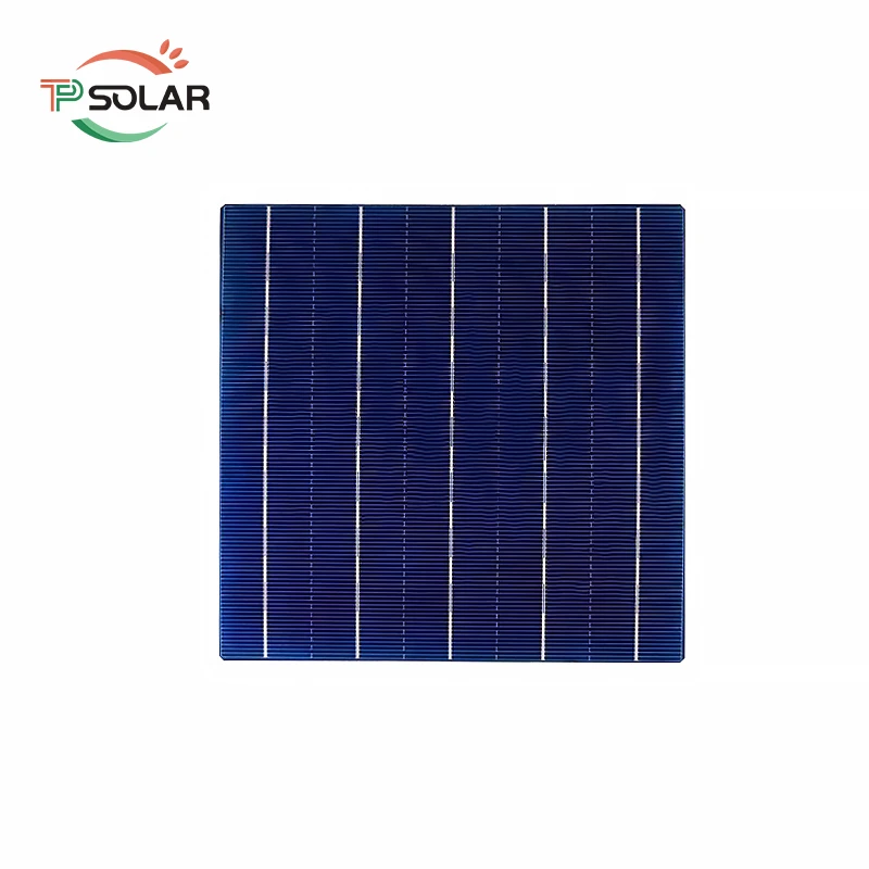 Solar cell polycrystalline 6x6 cheap price High efficiency 5BB poly PERC solar cell panel