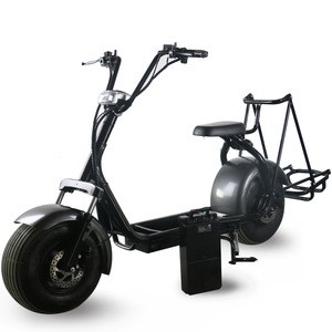 stock in europe SC03 golf citycoco/seev/woqu 1500w two wheel motorized electric golf cart with removable battery