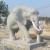 Import Sunset red garden large stone Elephant sculptures from China