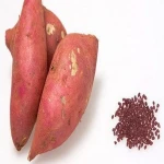 Sweet potato pop grain pellet from Korea