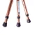Import Switch Sticks Walking Stick with Seat, 2-in-1 Folding Walking Stick Seat, from China