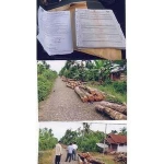 Teakwood Raw Material