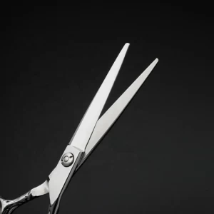 Titan hair scissors double bearing ball screw vg10 steel scissors