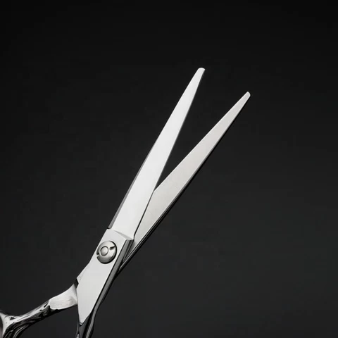 Titan Hair Scissors Double Bearing Ball Screw Vg10 Steel Scissors from ...