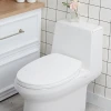 Toilet Seat_Slow Falling Colse_Hard_DO Simple Comfortable Type Plastic
