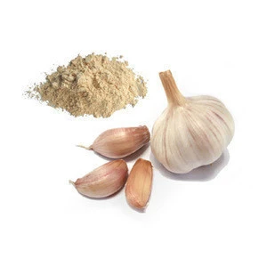 Top Grade Nature Garlic Extract 1%-2% Allicin, 2%-5% Allin, 100:1 200:1 Mucilage