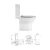 Import Top high quality Ceramic Toilet wc Western style one piece siphonic water closet for home use from China