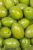 Import Top Quality Fresh Olives Available For Sale from Canada